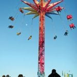 article image -